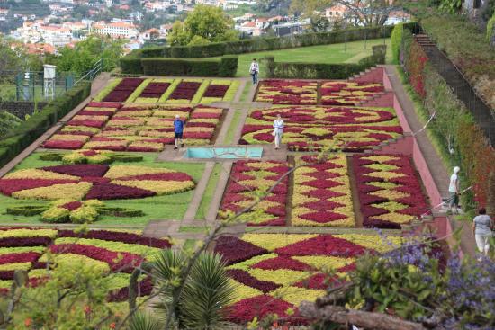 Jardín Botánico de Madeira